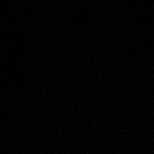 Meet your Posher, Riley